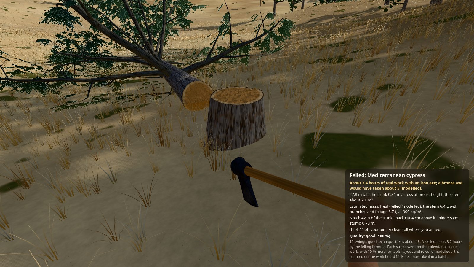 Seen through Noah's eyes, the axe in hand: a cut stump in front, the felled cypress lying beyond it, and a card that reads "Felled: Mediterranean cypress", with the hours of real work with iron and with bronze, the tree's size and mass, the cuts and the quality.