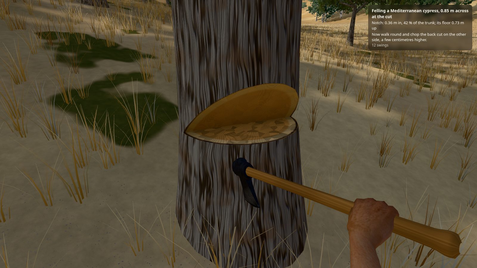 Seen through Noah's eyes, the iron axe in hand: a deep wedge cut into the base of a cypress, its pale floor level and its roof sloping; on screen a panel reads "Notch: 0.36 m in, 42 % of the trunk; its floor 0.73 m up".