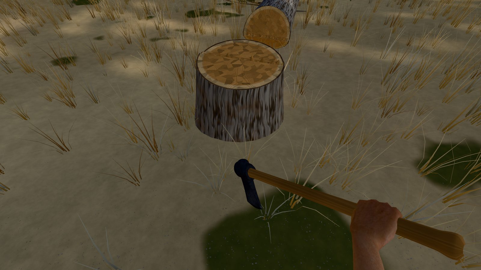 Seen through Noah's eyes, the axe in hand: the cut stump of the felled cypress, its top in two level faces with a narrow band between them, and the butt of the felled trunk lying beyond.