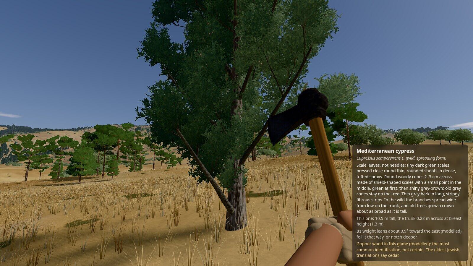 Seen through Noah's eyes, axe in hand: a cypress close up in the valley, and a card on screen naming it, describing it, giving its size and the gopher wood note.